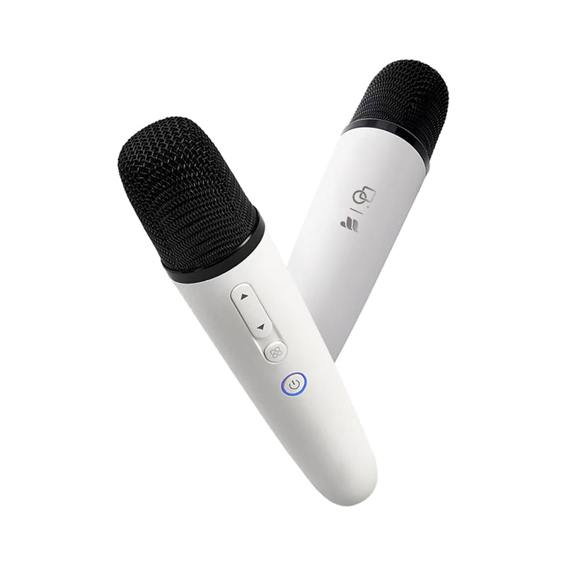 PartyMic Wireless Microphone